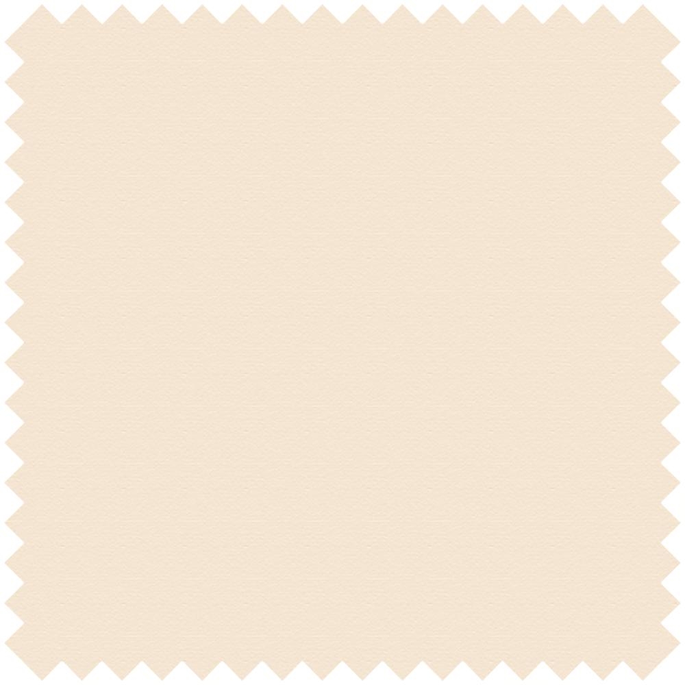 FABRIC BASIC DIMOUT FR BEIGE-01.65115/09